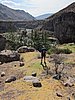 IMG_1098.JPG