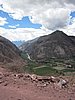 IMG_1471.JPG