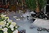 DSC_3848.JPG