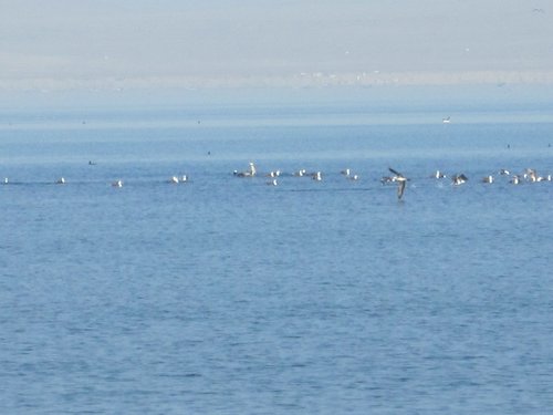 IMG_0327.JPG