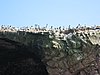 IMG_0352.JPG