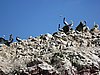 IMG_0363.JPG
