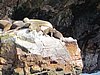 IMG_0369.JPG