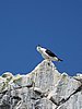 IMG_0376.JPG