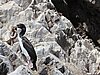 IMG_0379.JPG
