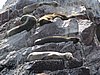 IMG_0390.JPG