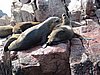IMG_0419.JPG