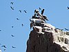 IMG_0425.JPG