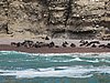 IMG_0431.JPG