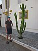 IMG_0468.JPG