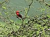 IMG_0484.JPG
