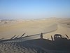 IMG_0513.JPG