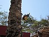 IMG_0571.JPG