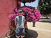 IMG_0590.JPG