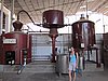 IMG_0597.JPG