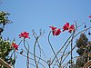 IMG_0604.JPG