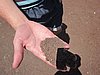 IMG_0609.JPG
