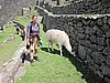 IMG_1634.JPG
