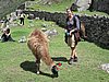 IMG_1637.JPG