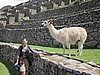 IMG_1640.JPG