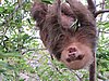 IMG_1658.JPG