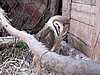 IMG_1662.JPG