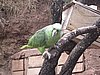 IMG_1665.JPG