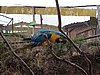 IMG_1666.JPG