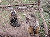 IMG_1668.JPG