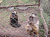 IMG_1669.JPG