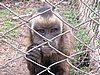 IMG_1670.JPG