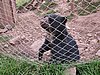 IMG_1672.JPG