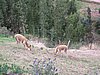 IMG_1677.JPG