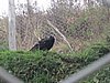 IMG_1678.JPG