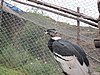 IMG_1682.JPG