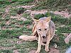 IMG_1690.JPG