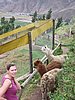 IMG_1702.JPG