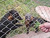 IMG_1706.JPG