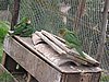 IMG_1708.JPG