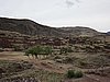 IMG_1713.JPG