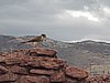 IMG_1718.JPG