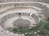 IMG_0779.JPG