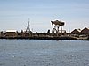 IMG_1204.JPG